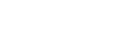 Электронный ПТС